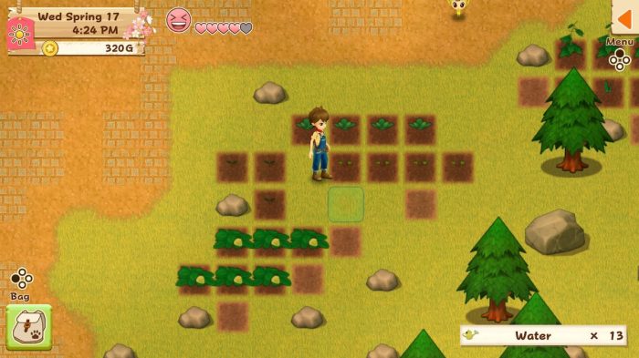 Harvest Moon: Light of Hope Review