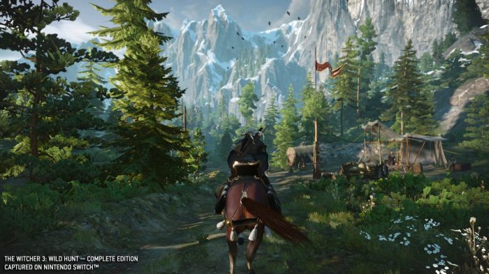 witcher 3 increase carry weight
